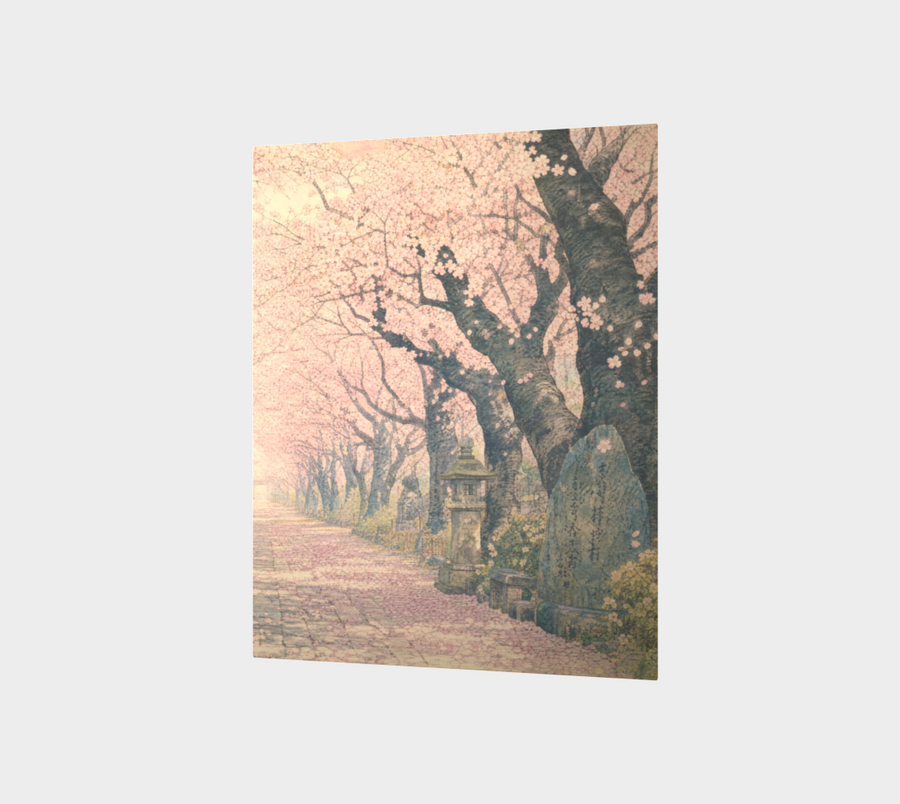 Zen Avenue part #2