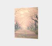 Zen Avenue 1
