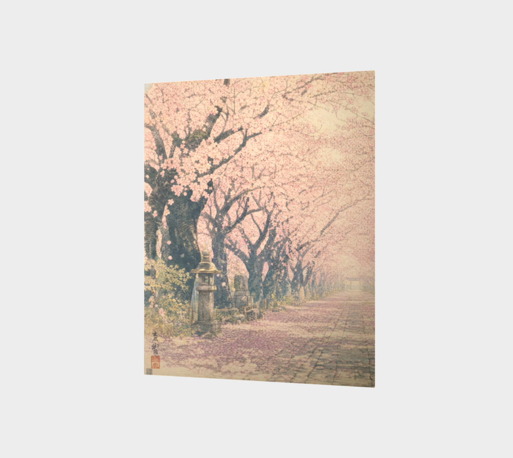 Zen Avenue part #1